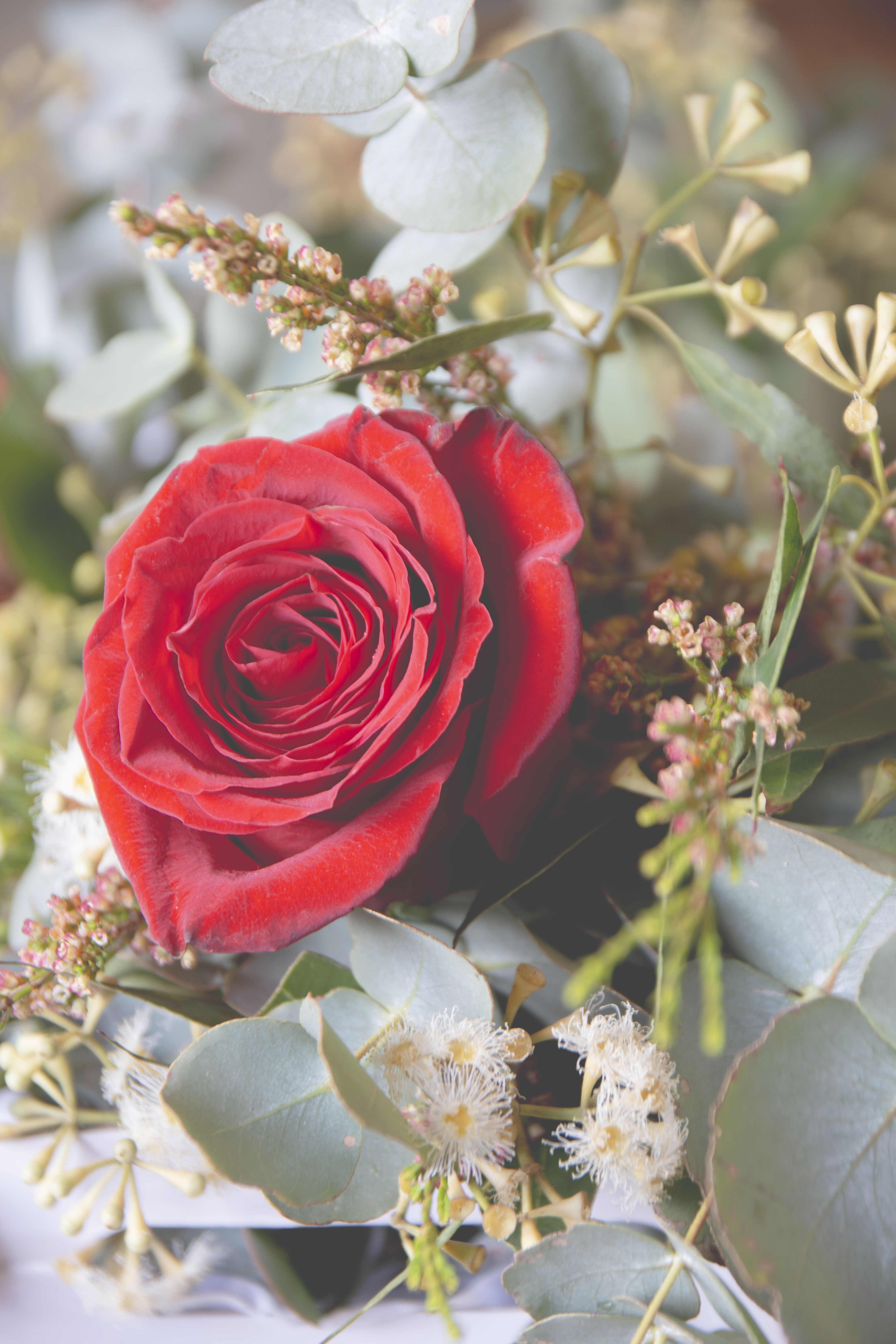 Image of a bouquet with Australian native flowers and a red rose